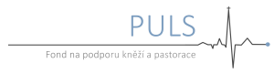Logo PULS 1
