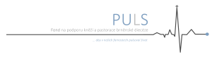 Logo PULS 2