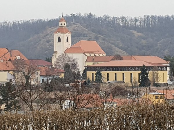 PULS - Fond na podporu kněží a&nbsp;pastorace brněnské diecéze