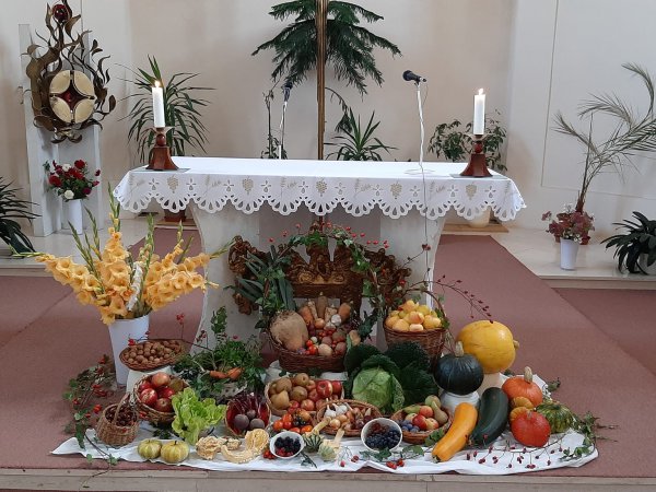 PULS - Fond na podporu kněží a&nbsp;pastorace brněnské diecéze